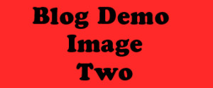 portwicked_blog_demo_2