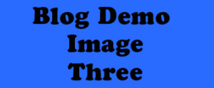 portwicked_blog_demo_3