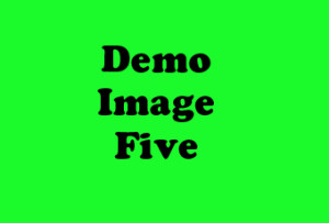 portwicked_demo_5
